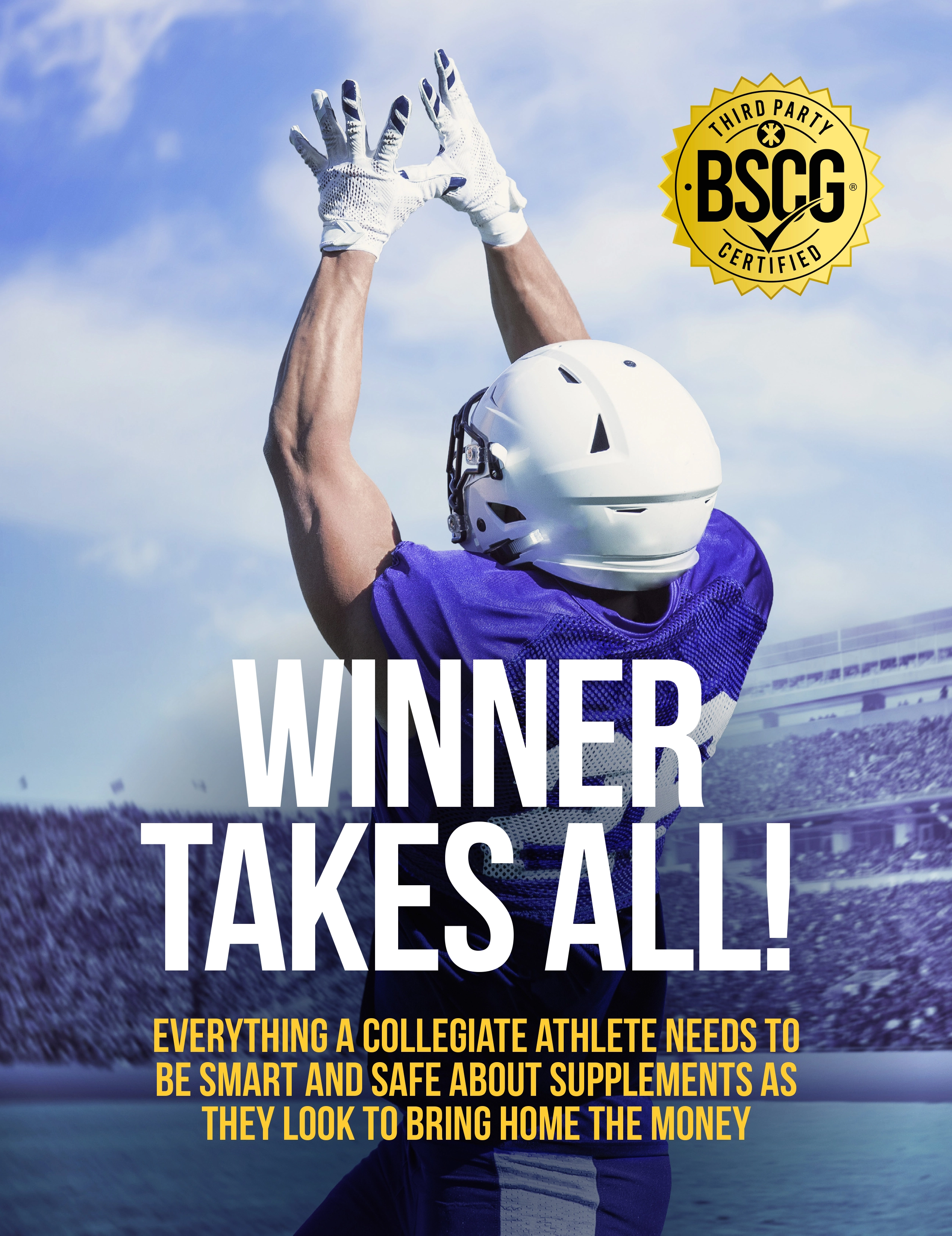 bscg ebook winner takes all